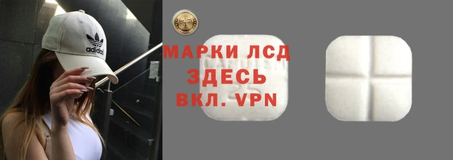 СК Беломорск