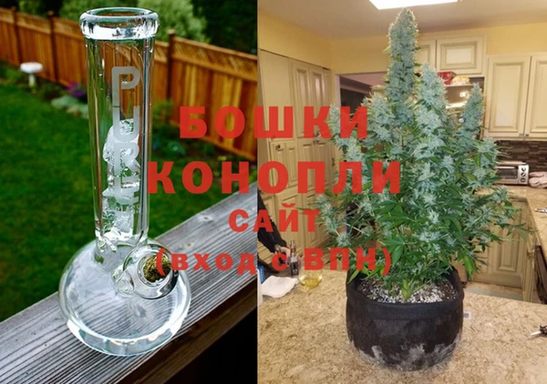 дурь Белоозёрский