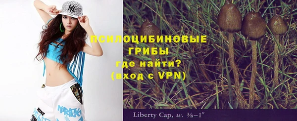 спайс Белокуриха
