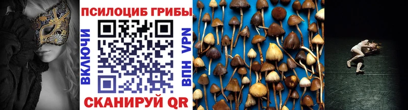 Галлюциногенные грибы Psilocybe  продажа наркотиков  Горячий Ключ 