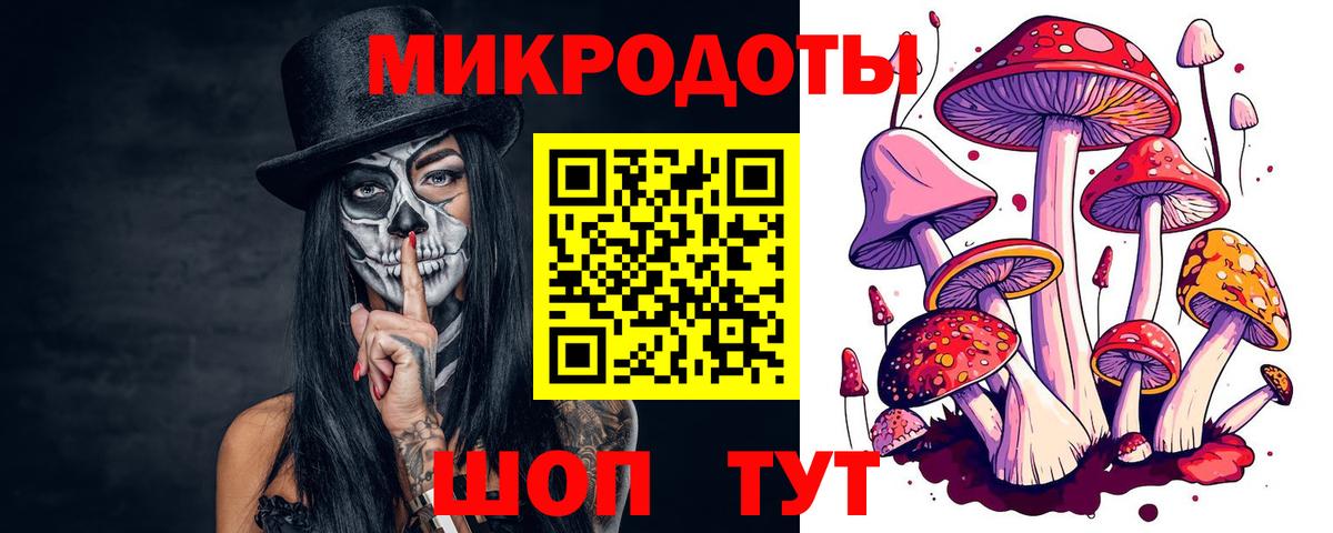 Псилоцибиновые грибы мицелий  Вход с VPN  Горячий Ключ 