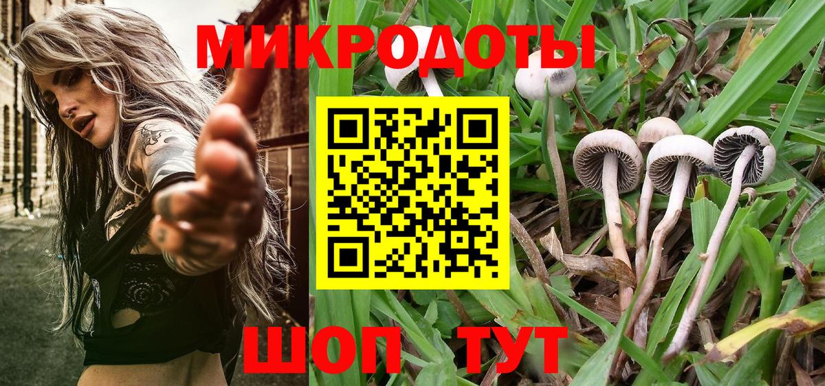 Галлюциногенные грибы MAGIC MUSHROOMS Горячий Ключ